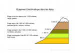 Étagement bioclimatique dans les Alpes