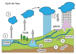 Le cycle de l'eau
