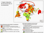 L'inégale intégration des territoires dans la mondialisation