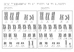 Le caryotype de la femme et le caryotype de l homme