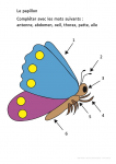 Papillon à compléter